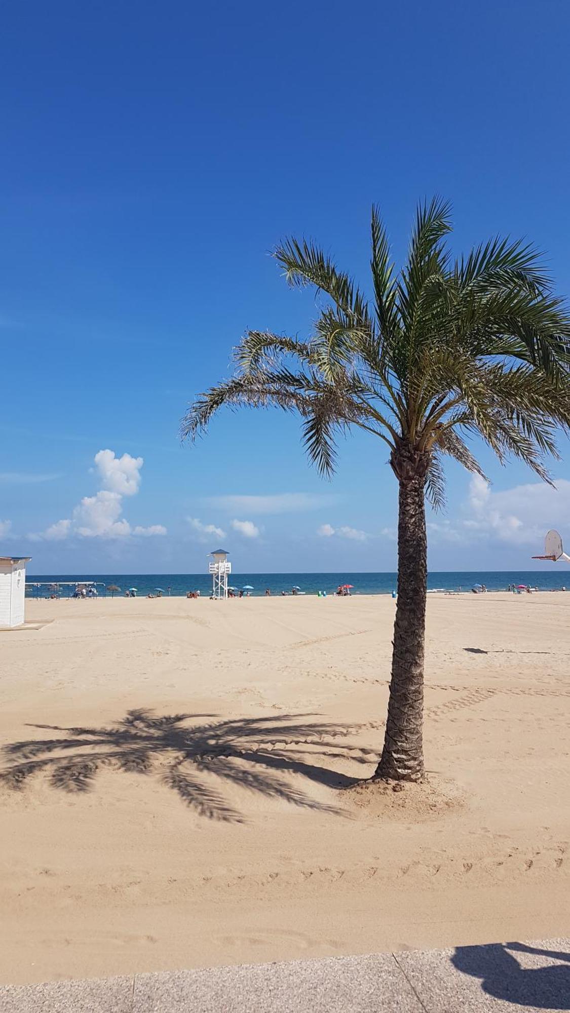 Apartament Hola Gandia Zewnętrze zdjęcie